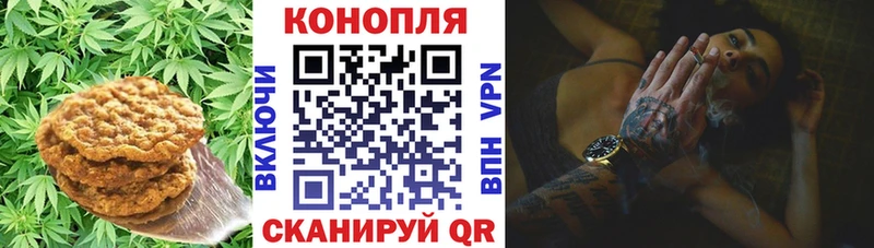 Cannafood конопля  Купить закладки  Красновишерск 