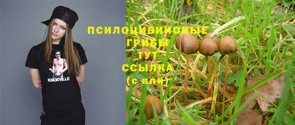 кокаин Горнозаводск